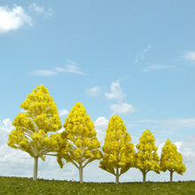 model trees